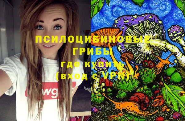 эйфоретик Иннополис
