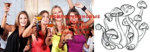эйфоретик Иннополис