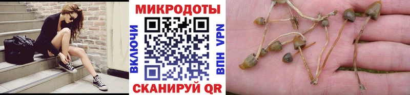 Купить закладки Назарово Галлюциногенные грибы ЛСД
